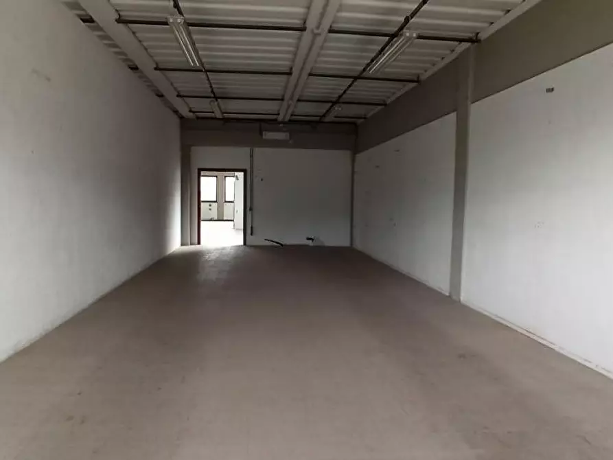 Immagine 23 di Attività artigianale in vendita  a Capannori