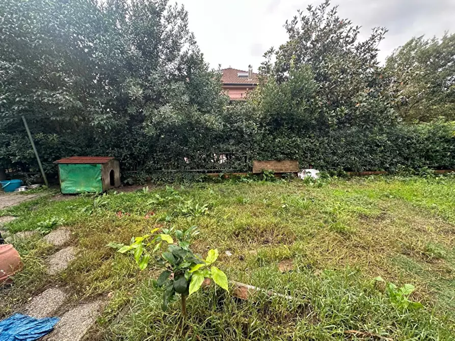 Immagine 21 di Terratetto in vendita  a Castelnuovo Magra