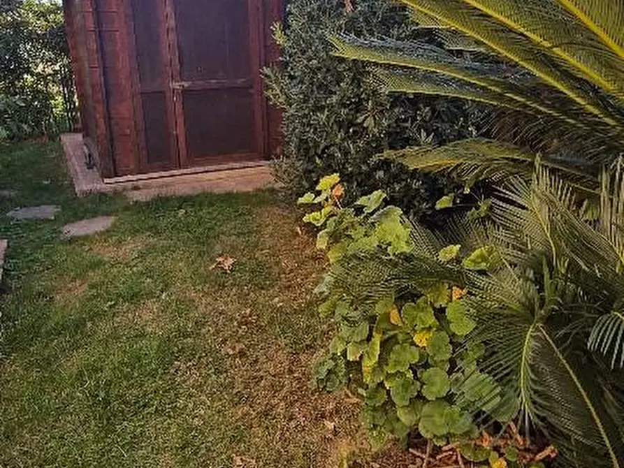 Immagine 28 di Casa trifamiliare in affitto  a Cascina