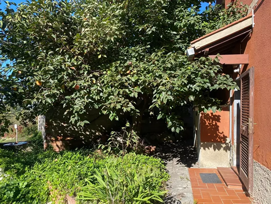 Immagine 22 di Casa indipendente in vendita  a Montopoli In Val D'arno