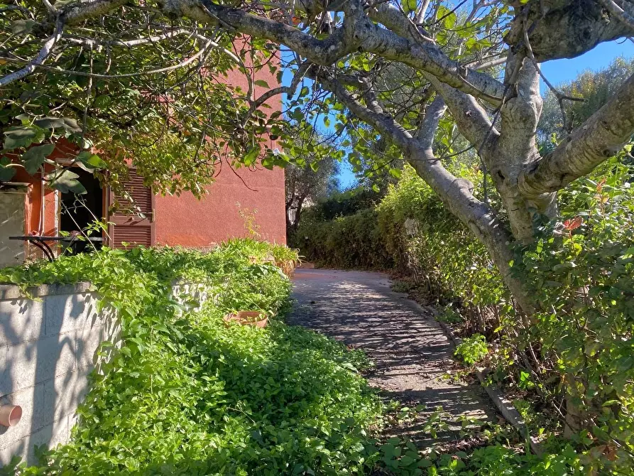 Immagine 3 di Casa indipendente in vendita  a Montopoli In Val D'arno