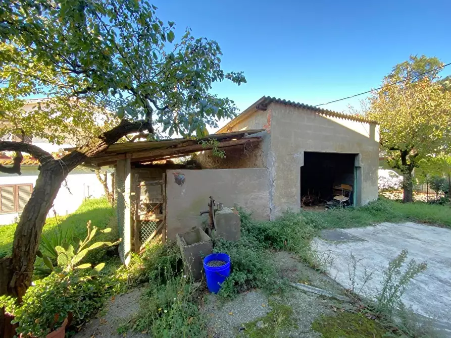 Immagine 20 di Casa indipendente in vendita  a Montopoli In Val D'arno