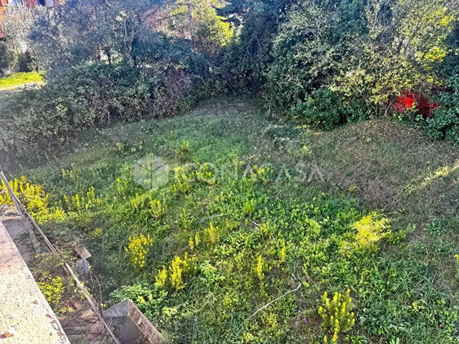 Immagine 40 di Appartamento in vendita  a Casciana Terme Lari