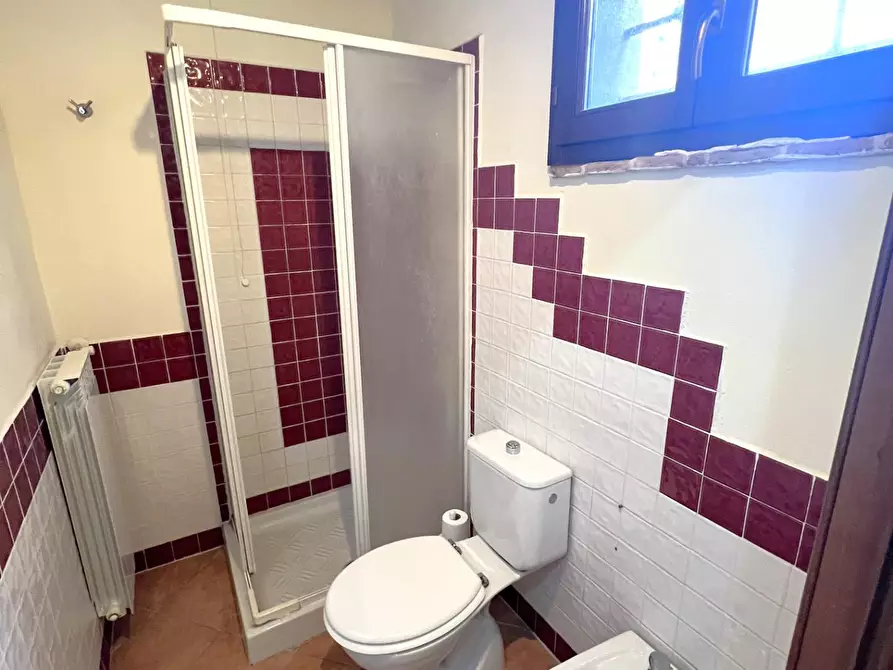 Immagine 9 di Appartamento in vendita  a Calcinaia