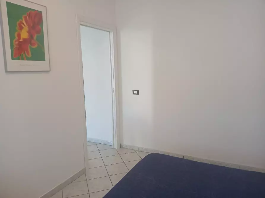 Immagine 18 di Appartamento in affitto  a Pisa