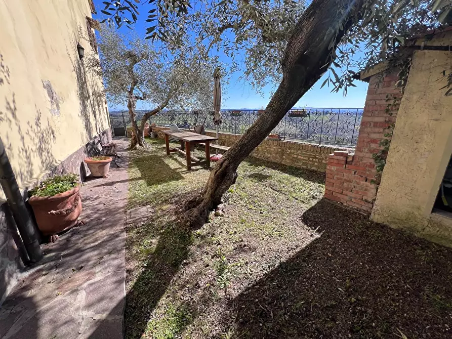 Immagine 56 di Terratetto in vendita  a Castelfiorentino