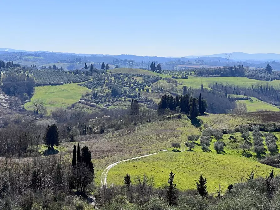 Immagine 26 di Terratetto in vendita  a Castelfiorentino