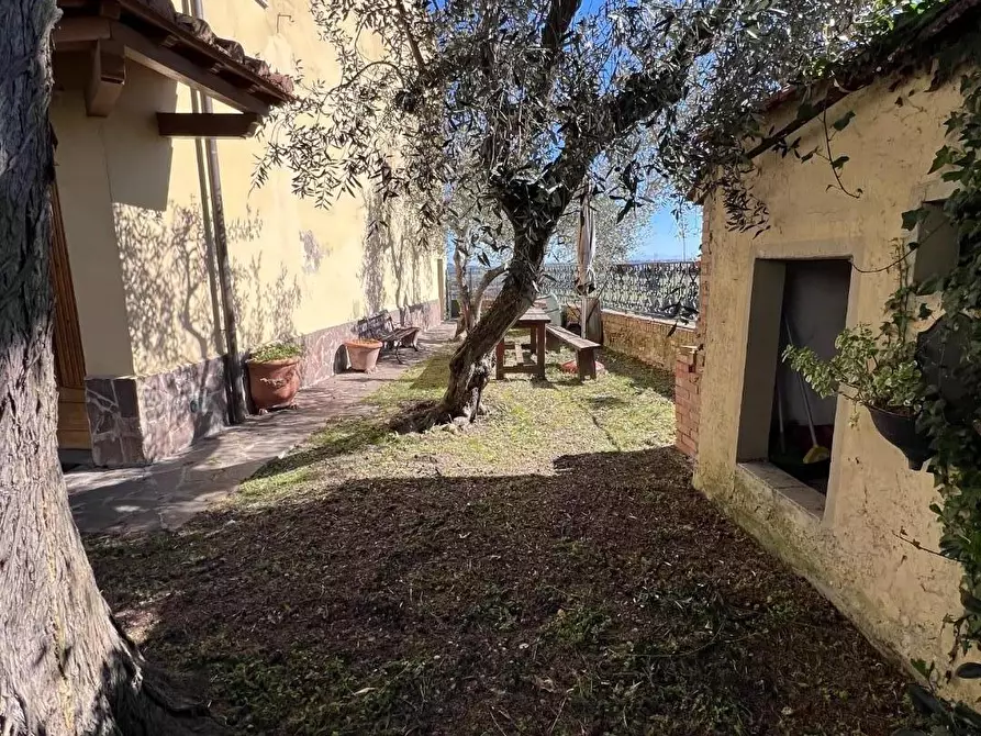 Immagine 55 di Terratetto in vendita  a Castelfiorentino