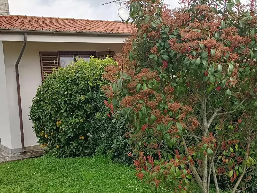 Immagine 2 di Casa indipendente in vendita  a San Giuliano Terme