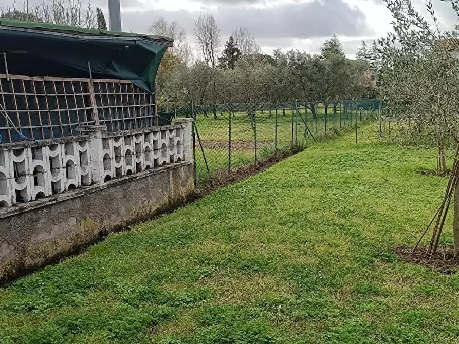 Immagine 3 di Casa indipendente in vendita  a San Giuliano Terme