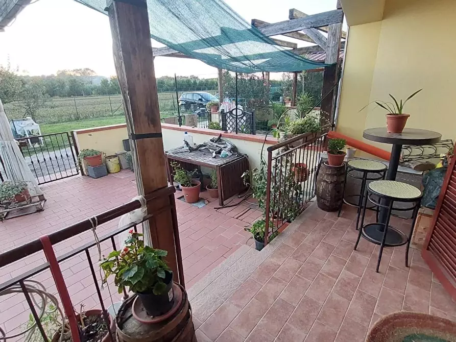 Immagine 3 di Villetta a schiera in vendita  a Crespina Lorenzana