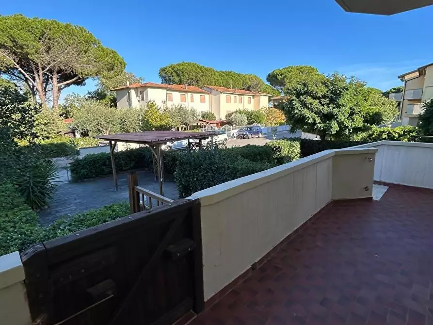 Immagine 6 di Villetta a schiera in vendita  a Rosignano Marittimo