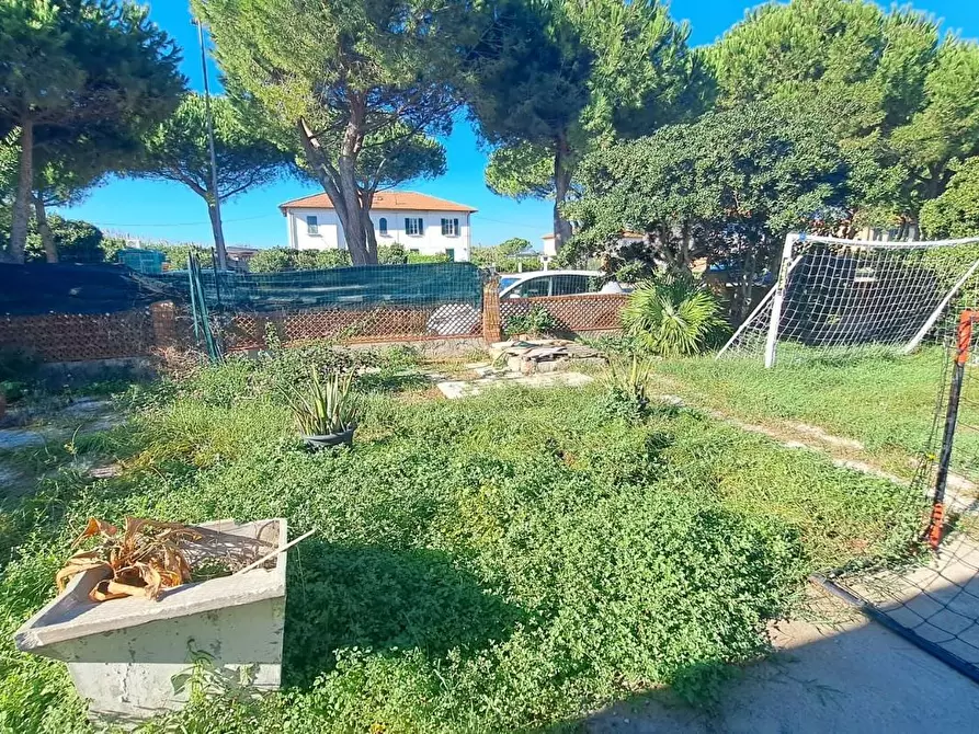 Immagine 21 di Appartamento in vendita  a Rosignano Marittimo