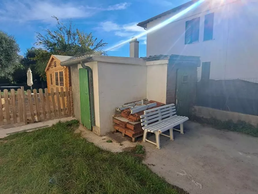 Immagine 24 di Appartamento in vendita  a Rosignano Marittimo