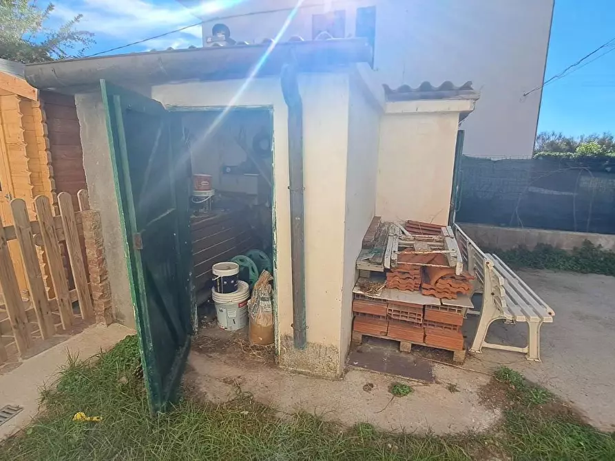 Immagine 25 di Appartamento in vendita  a Rosignano Marittimo