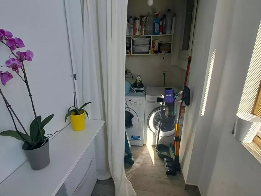 Immagine 6 di Appartamento in vendita  a Rosignano Marittimo