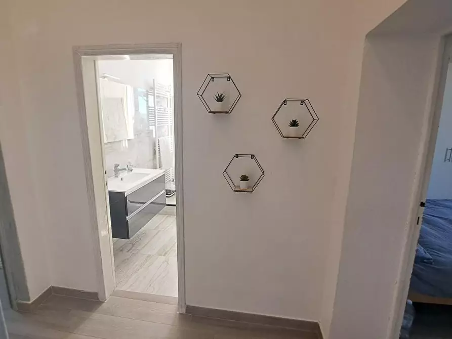 Immagine 14 di Appartamento in vendita  a Rosignano Marittimo