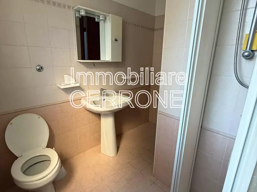 Immagine 18 di Appartamento in vendita  a Cecina