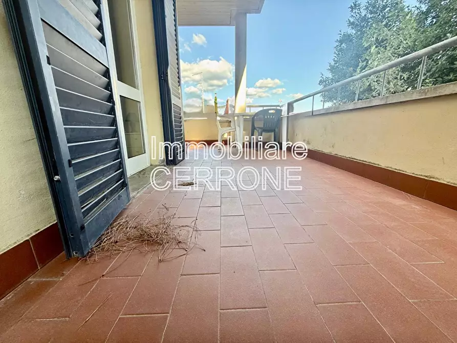 Immagine 21 di Appartamento in vendita  a Cecina