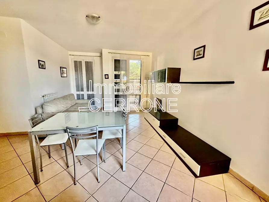 Immagine 6 di Appartamento in vendita  a Cecina