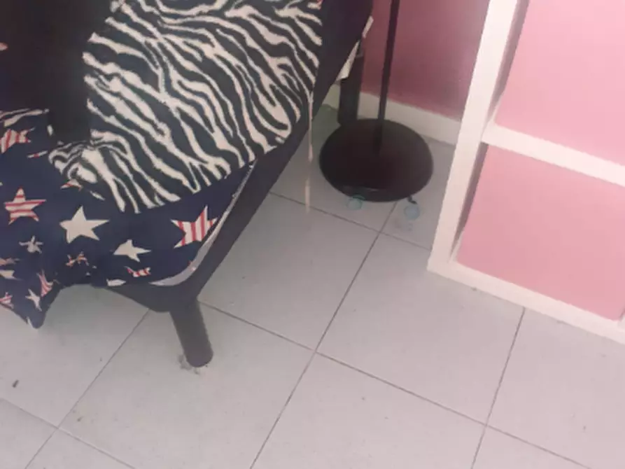 Immagine 9 di Appartamento in vendita  a Torino