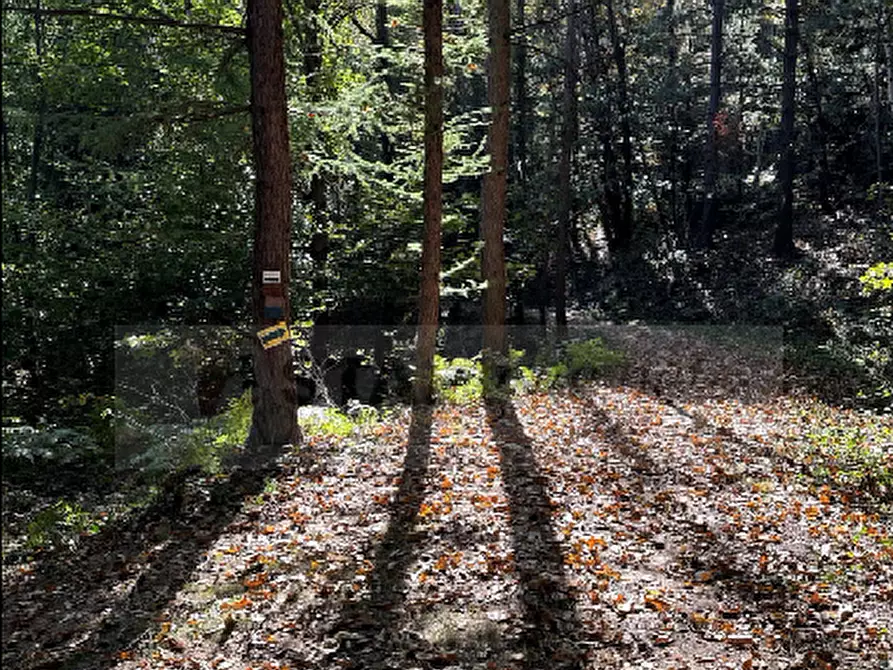 Immagine 2 di Terratetto in vendita  a Andrate