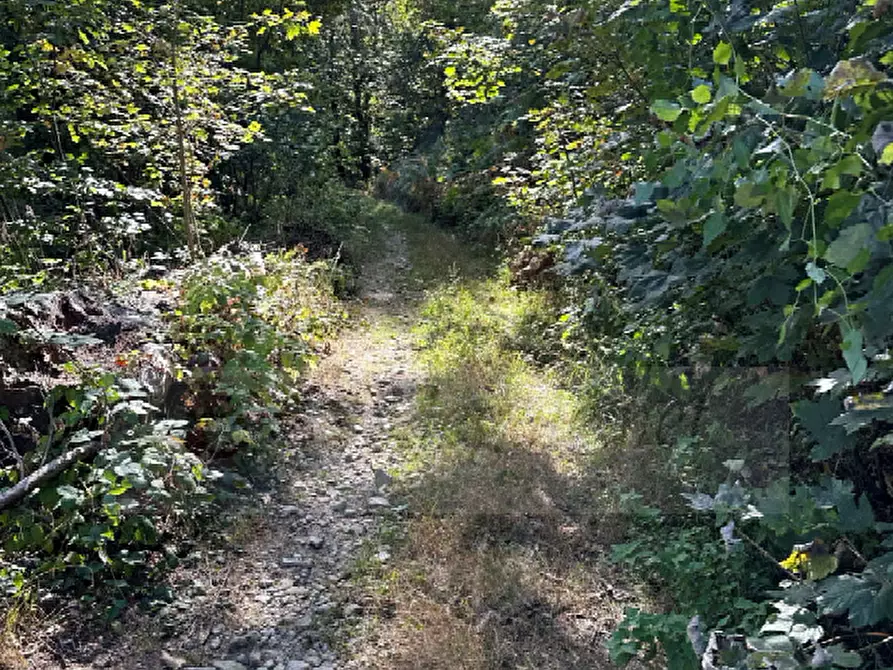 Immagine 3 di Terratetto in vendita  a Andrate