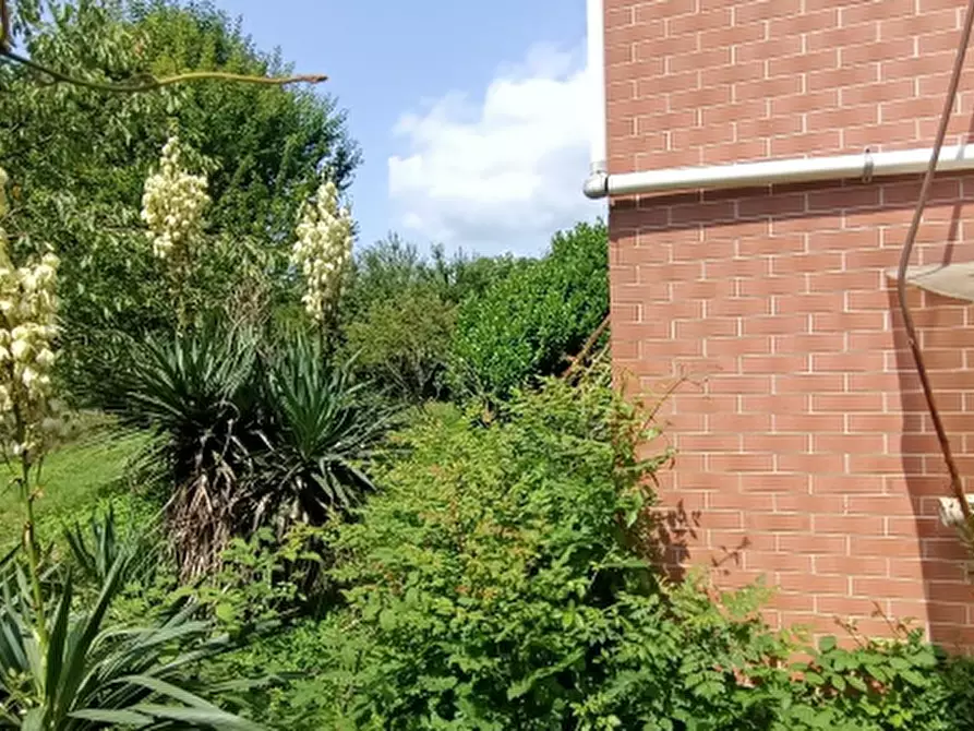 Immagine 5 di Casa indipendente in vendita  a Rocca Canavese