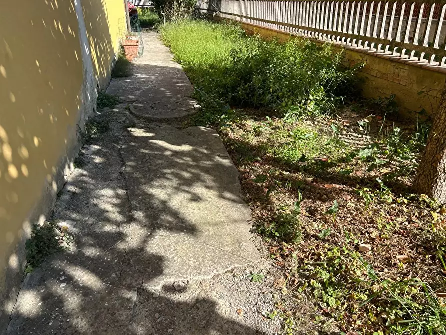 Immagine 18 di Porzione di casa in vendita  a Ponsacco