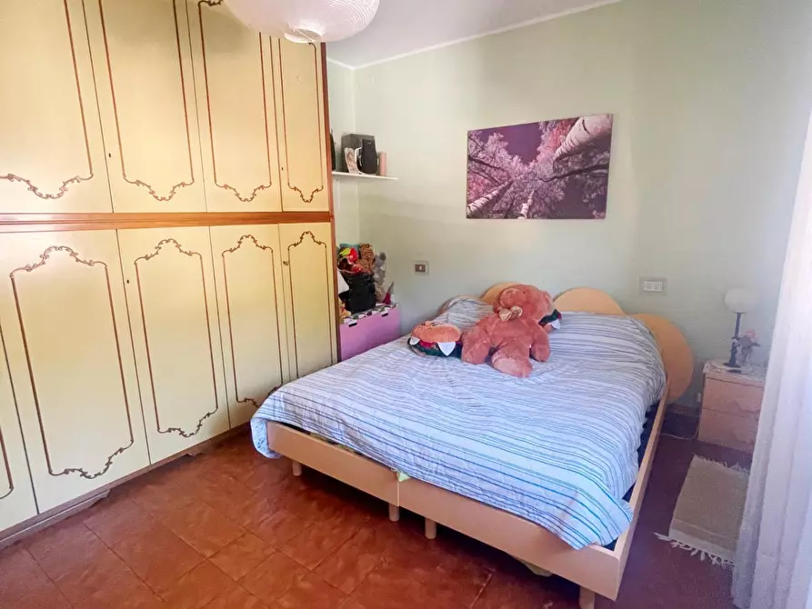 Immagine 26 di Appartamento in vendita  a Vicopisano