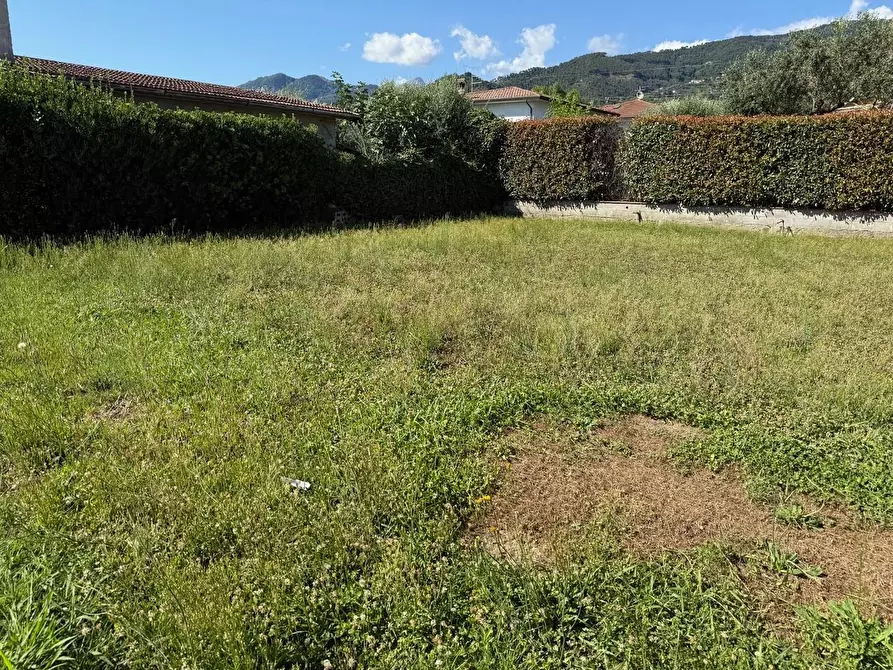 Immagine 17 di Casa bifamiliare in vendita  a Montignoso