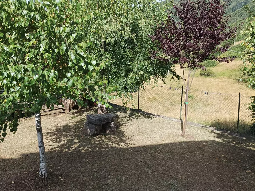 Immagine 7 di Terratetto in vendita  a Castelnuovo Di Garfagnana