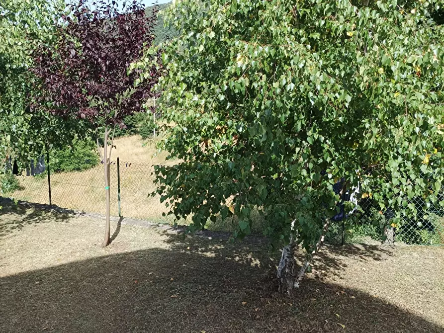 Immagine 8 di Terratetto in vendita  a Castelnuovo Di Garfagnana