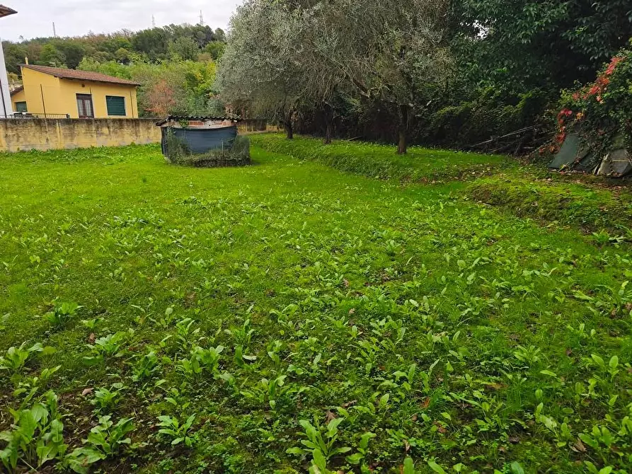 Immagine 2 di Casa indipendente in vendita  a Castelnuovo Magra