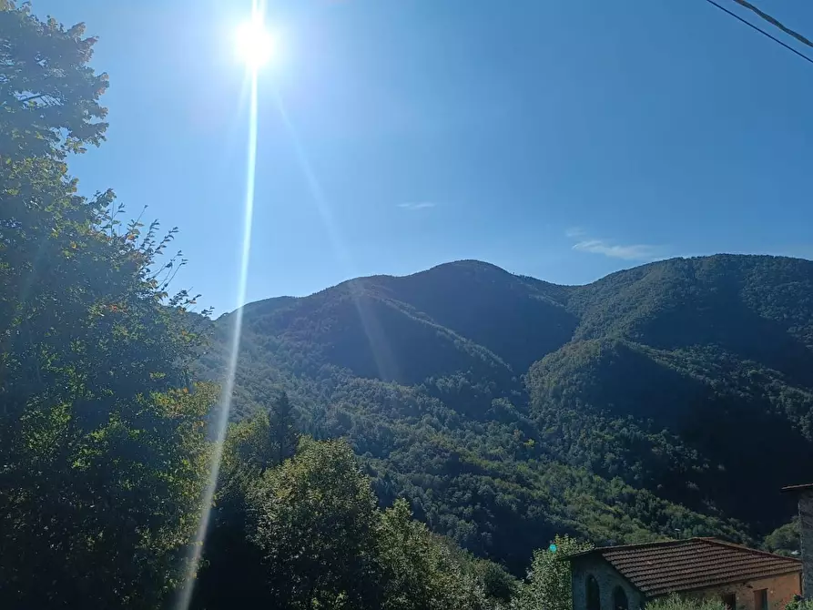 Immagine 13 di Appartamento in vendita  a Pescaglia