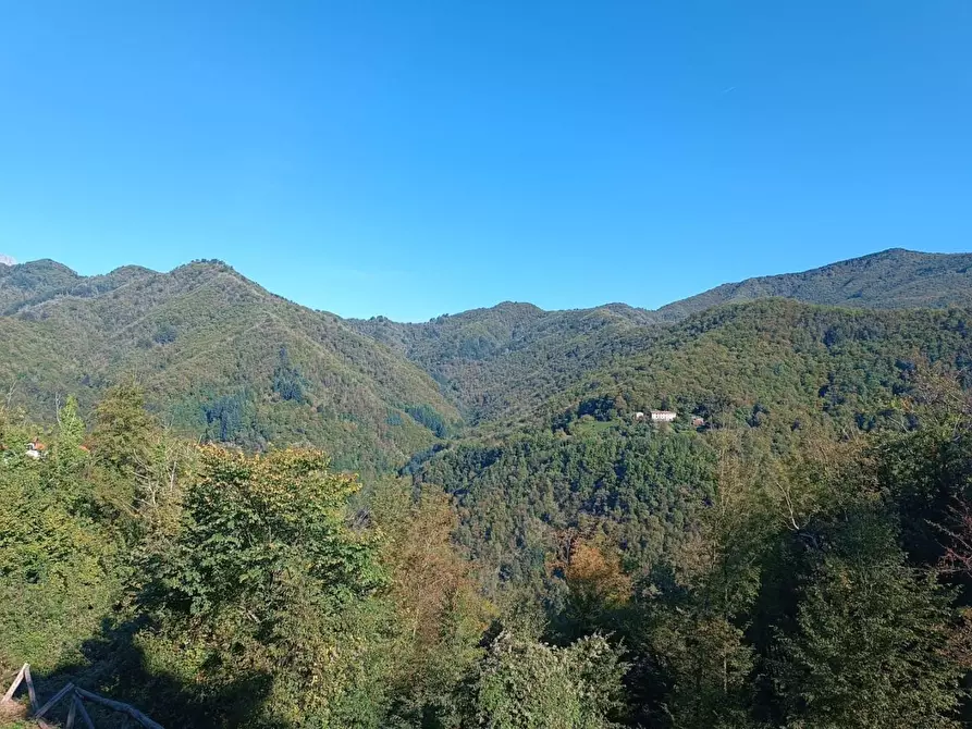 Immagine 14 di Appartamento in vendita  a Pescaglia