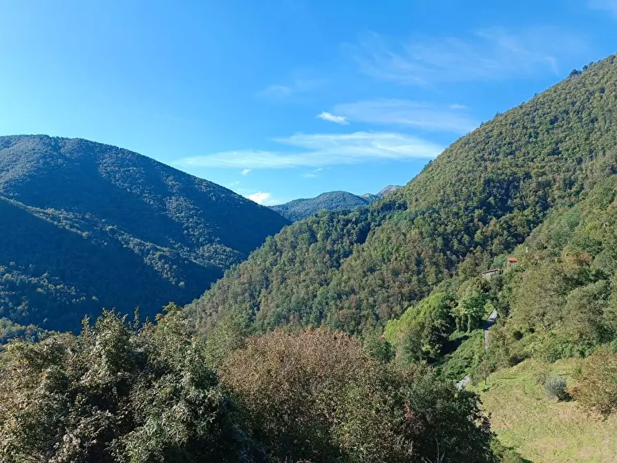 Immagine 15 di Appartamento in vendita  a Pescaglia
