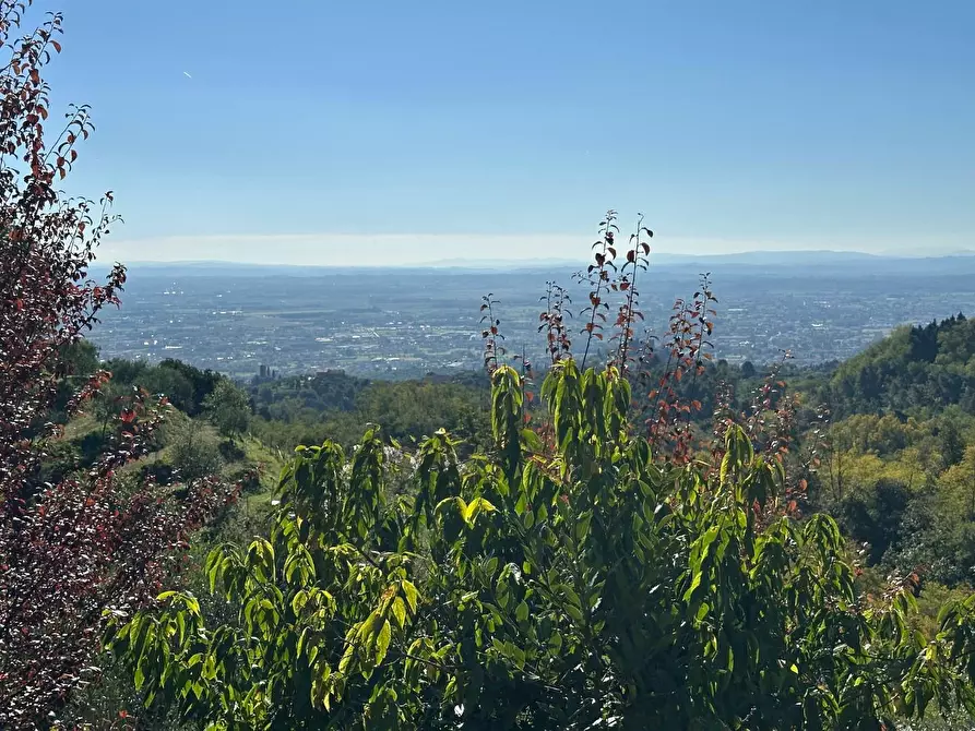 Immagine 46 di Casa colonica in vendita  a Buggiano