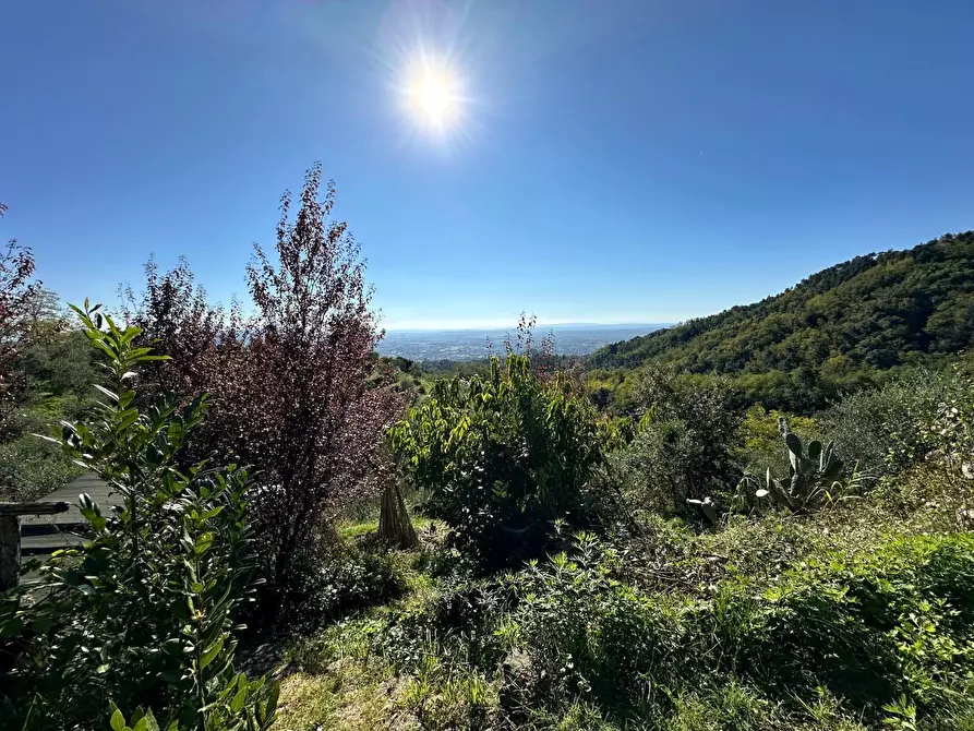 Immagine 47 di Casa colonica in vendita  a Buggiano