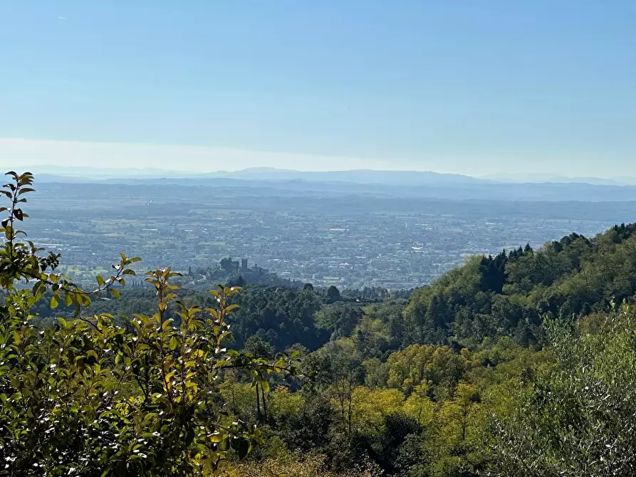 Immagine 28 di Casa colonica in vendita  a Buggiano
