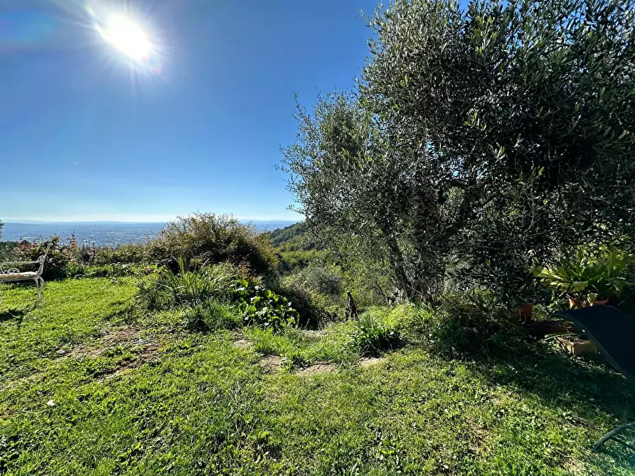 Immagine 41 di Casa colonica in vendita  a Buggiano
