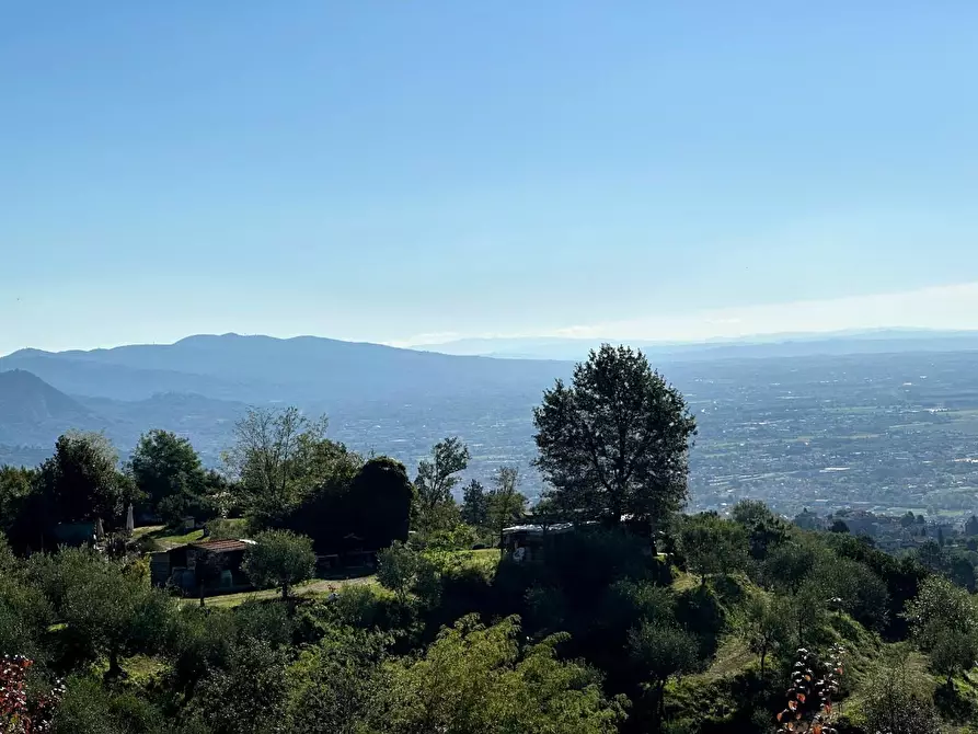 Immagine 33 di Casa colonica in vendita  a Buggiano