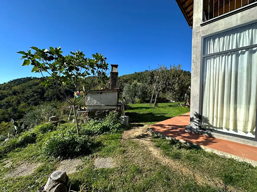 Immagine 35 di Casa colonica in vendita  a Buggiano