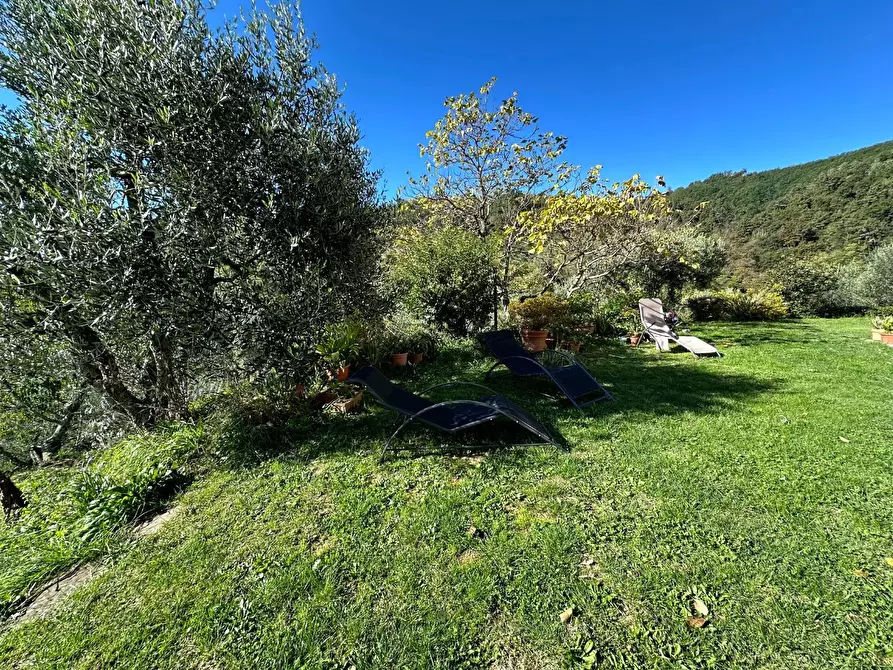 Immagine 40 di Casa colonica in vendita  a Buggiano