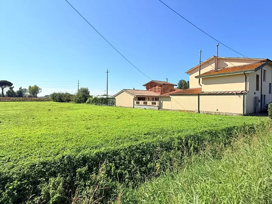 Immagine 51 di Terratetto in vendita  a Altopascio