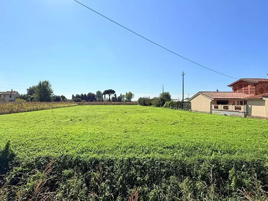 Immagine 52 di Terratetto in vendita  a Altopascio