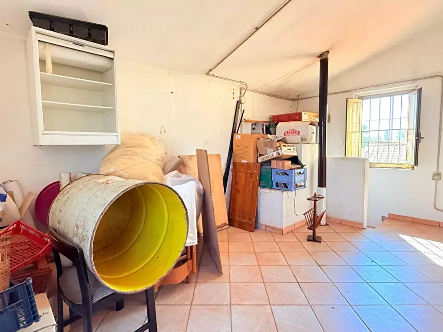 Immagine 26 di Terratetto in vendita  a Altopascio