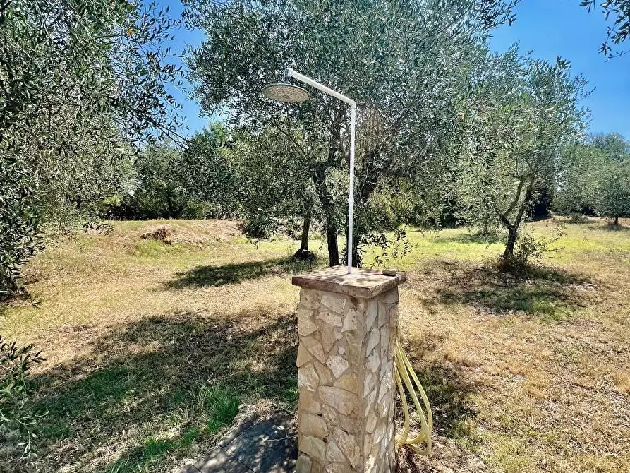Immagine 60 di Villa in vendita  a Casciana Terme Lari