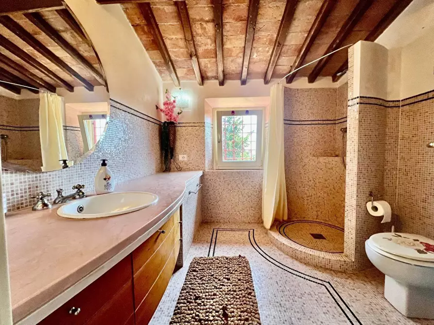 Immagine 18 di Villa in vendita  a Casciana Terme Lari