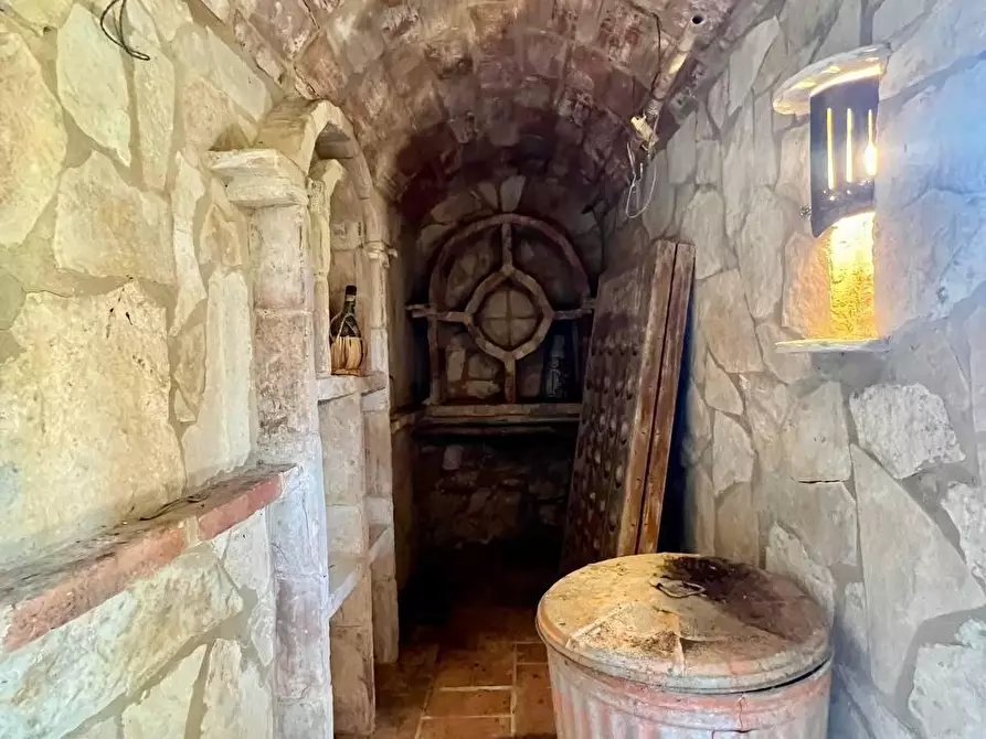 Immagine 63 di Villa in vendita  a Casciana Terme Lari